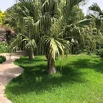 2 *